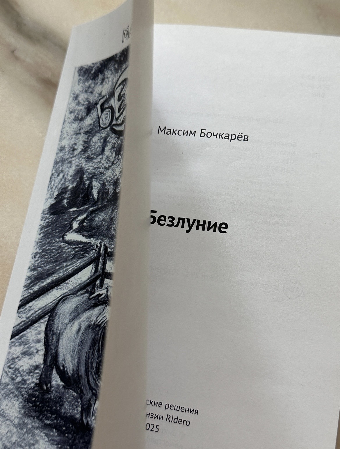 Книга «БЕЗЛУНИЕ» — фото 3
