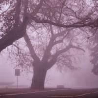 Плед Лиловые сумерки — фото 2